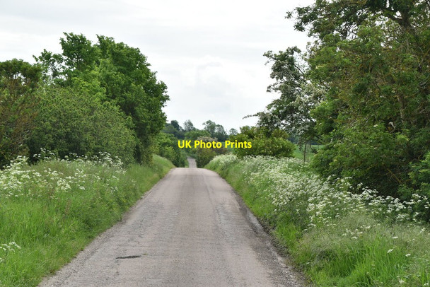 Photo 6"x4" Road to Kelshall Kelshall c2021