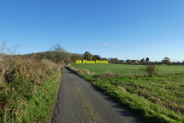 Photo 6"x4" Lane near Belle View Farm Bossall c2021