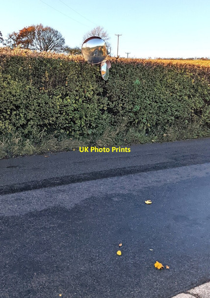 Photo 6"x4" Two mirrors in a hedge, Tre-Herbert Road, Llanddewi Fach, Monmouthshire Llanddewi Fach c2021