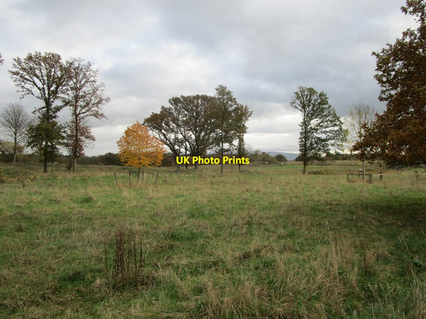 Photo 6"x4" Croome Park Dunstall Common c2021