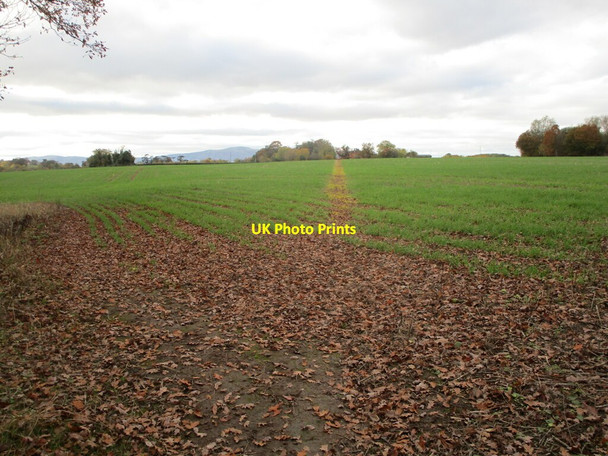 Photo 6"x4" Footpath to High Green High Green\/SO8745 c2021
