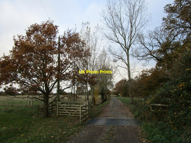 Photo 6"x4" Cattle grid, Westfield Lane High Green\/SO8745 c2021