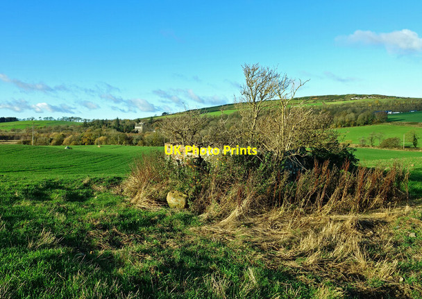 Photo 6"x4" Old mine shaft at Hawkhill Farm Old Dailly c2021