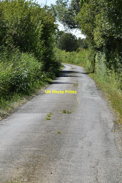 Photo 6"x4" Wey St Ruckinge c2020 P1