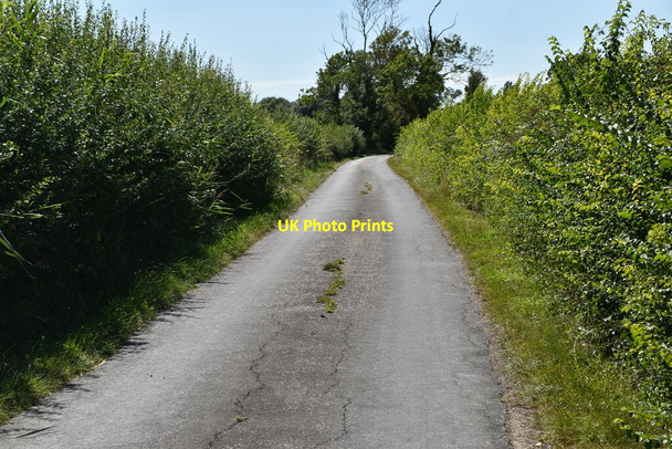 Photo 6"x4" Wey St Ruckinge c2020 P2