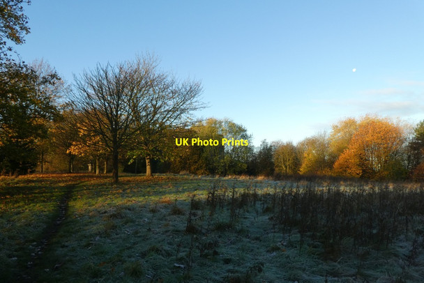 Photo 6"x4" Path to Siwards How Heslington c2021