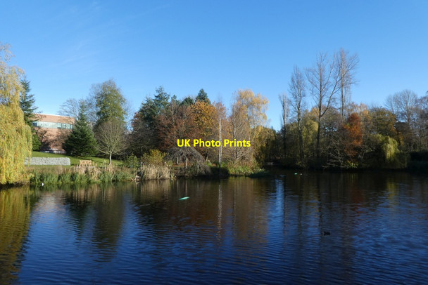 Photo 6"x4" Lake from Central Hall Bridge Heslington c2021