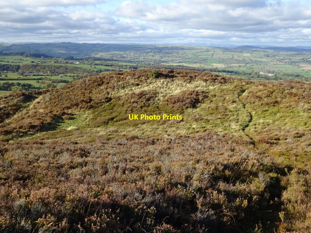 Photo 6"x4" Northern ramparts of the Castle Ring fort on The Stiperstones Crowsnest\/SJ3601 c2021