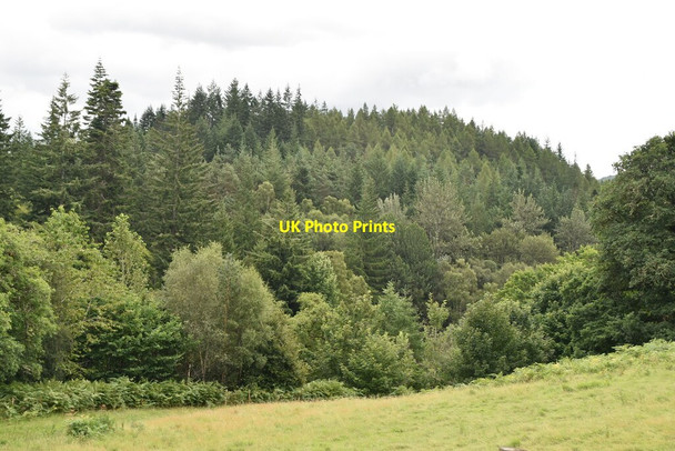 Photo 6"x4" Dun Mor Faskally c2021