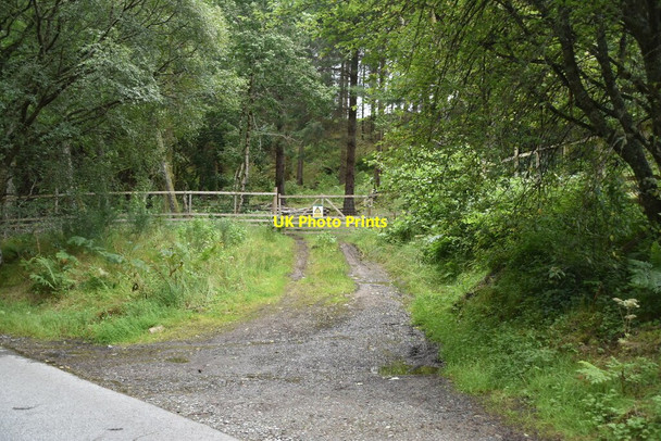 Photo 6"x4" Forest track Pitlochry c2021