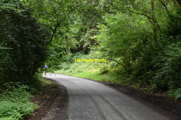Photo 6"x4" Wooded minor road Pitlochry c2021