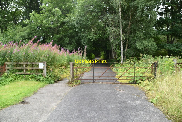Photo 6"x4" Old road, Balmore Pitlochry c2021