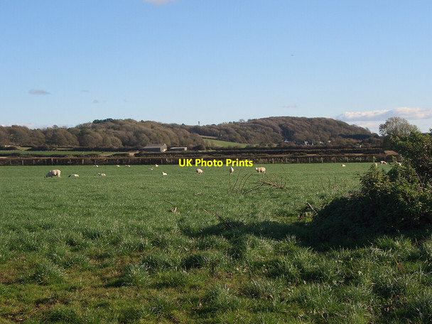 Photo 6"x4" Farmland and two areas of woodland to the north of Porthcawl Porthcawl c2021