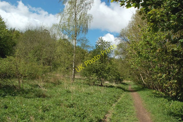 Photo 6"x4" The Old Galashiels-Peebles Railway Line Galashiels c2009
