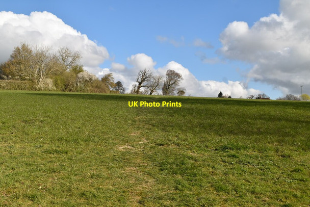 Photo 6"x4" Footpath across field Newenden c2021