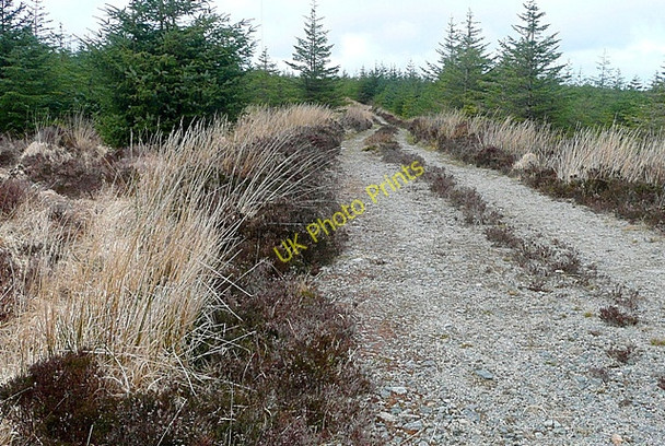 Photo 6"x4" Leitir Creamha Rua (Lettercraffroe) Oughterard c2009 P1
