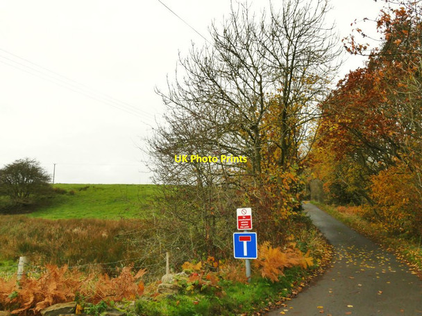 Photo 6"x4" Footpath beyond The Green Bingley\/SE1139 c2021