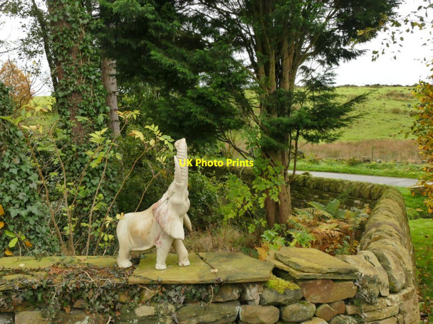 Photo 6"x4" Elephant on a wall Bingley\/SE1139 c2021