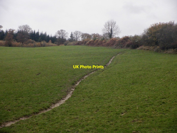 Photo 6"x4" Cow path, Joanshill Farm Checkley\/SO5938 c2021
