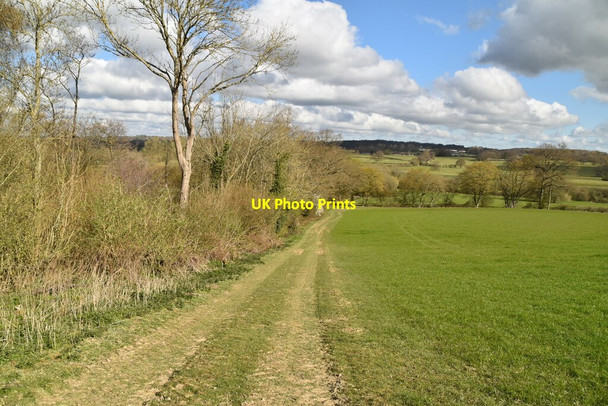 Photo 6"x4" Footpath along field boundary Newenden c2021