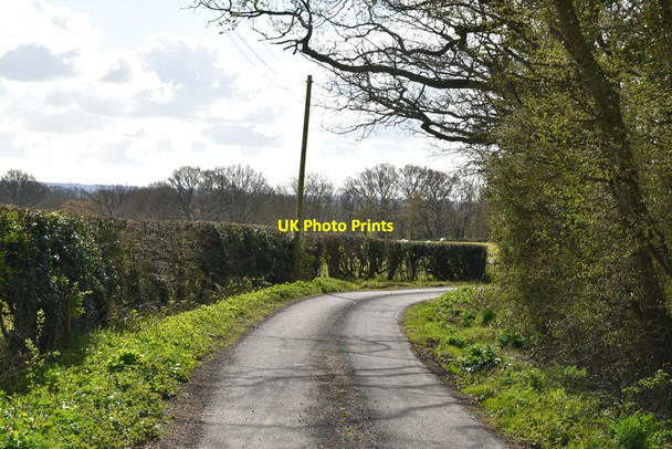 Photo 6"x4" Wassall Lane Great Job's Cross c2021