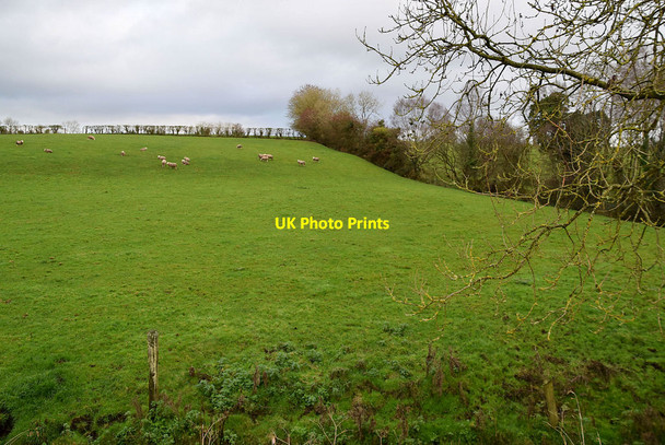 Photo 6"x4" Kiltamnagh Townland Fintona c2021