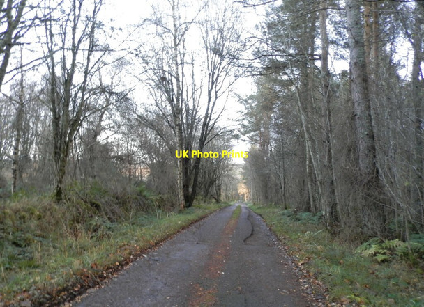 Photo 6"x4" Track to Kinrea Farm Cantraywood c2021