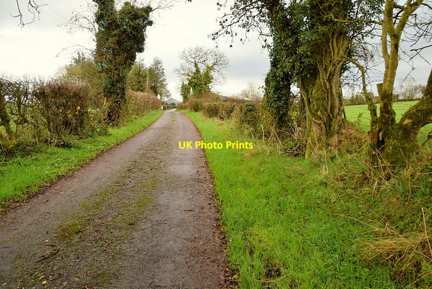 Photo 6"x4" Edergole Road, Kiltamnagh Fintona c2021