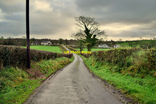 Photo 6"x4" A winding road, Kiltamnagh Fintona c2021