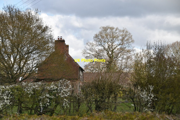 Photo 6"x4" Little Jobs Cross Great Job's Cross c2021