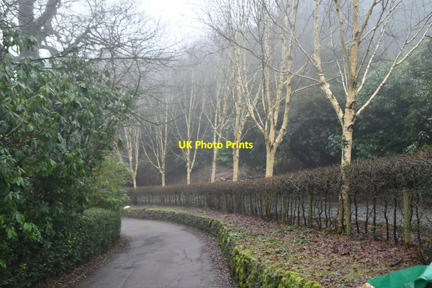 Photo 6"x4" Greensand Way, French Street French Street c2021