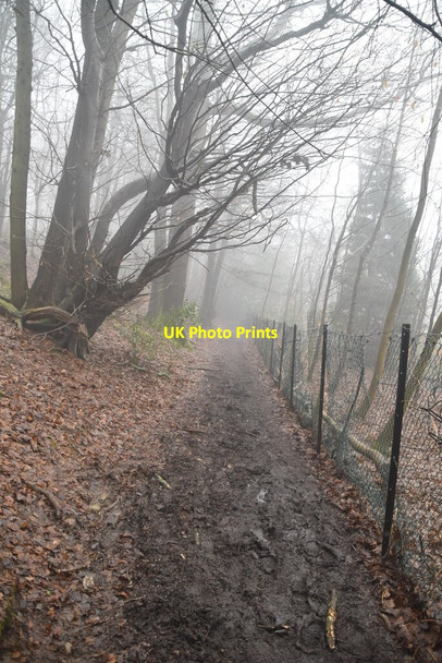 Photo 6"x4" Greensand Way, Toys Hill Puddledock\/TQ4650 c2021