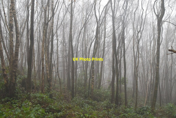 Photo 6"x4" Foggy Toys Hill Puddledock\/TQ4650 c2021
