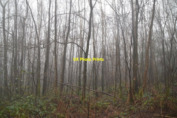 Photo 6"x4" Foggy Toys Hill Puddledock\/TQ4650 c2021 P1