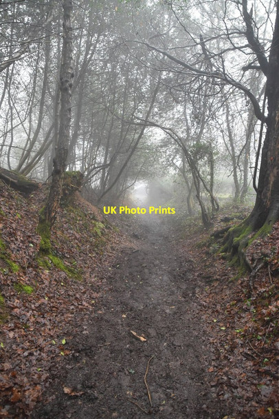Photo 6"x4" Greensand Way descending to Toys Hill Puddledock\/TQ4650 c2021