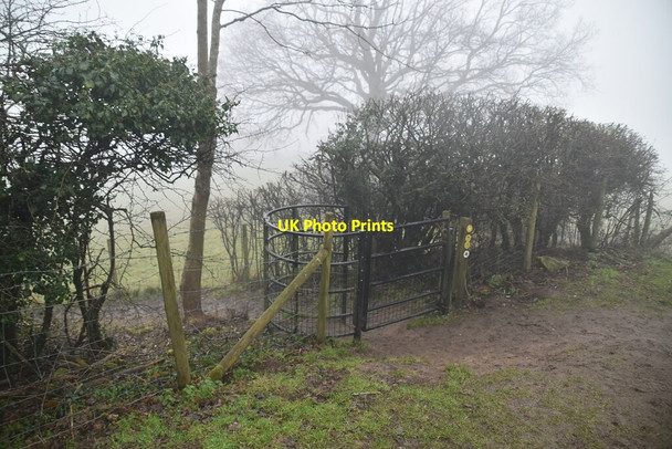 Photo 6"x4" Kissing gate, Greensand Way Hanging Bank c2021