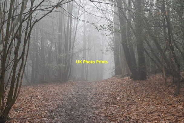 Photo 6"x4" Greensand Way, Ide Hill Hanging Bank c2021