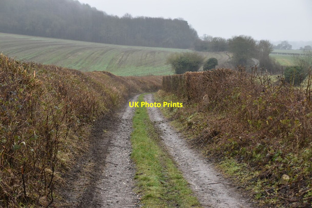 Photo 6"x4" North Downs Way Heaverham c2021 P1