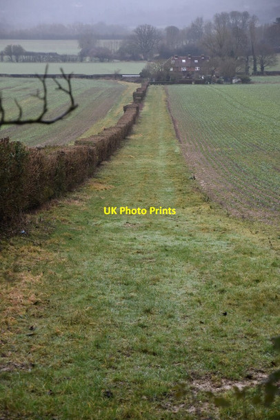 Photo 6"x4" Headland strip by hedge Wrotham c2021