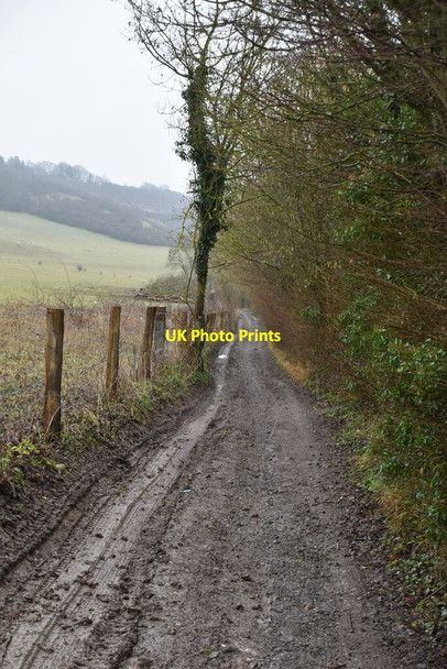 Photo 6"x4" North Downs Way Wrotham c2021