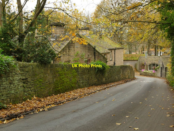 Photo 6"x4" Looking down Greenhill Lane Bingley\/SE1139 c2021