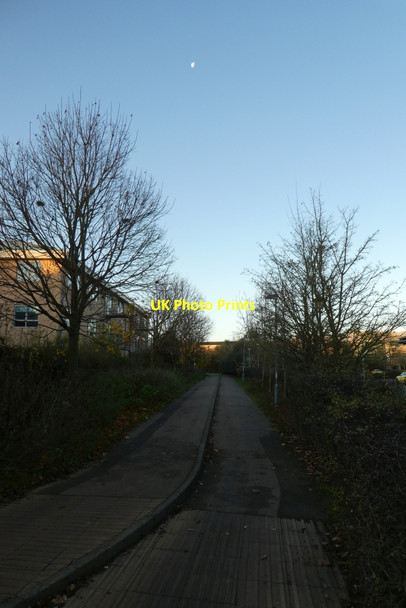 Photo 6"x4" Moon over the cycle path Heslington c2021