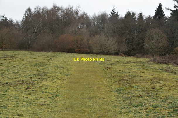 Photo 6"x4" Footpath crossing field Mountfield\/TQ7320 c2021