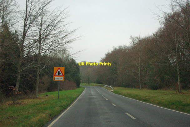 Photo 6"x4" Kennel Hill, Goodwood Charlton\/SU8812 c2012