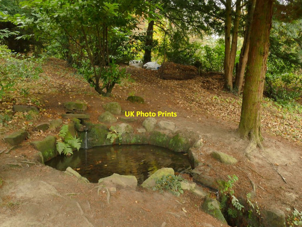 Photo 6"x4" Prince of Wales Park: rock pool Bingley\/SE1139 c2021