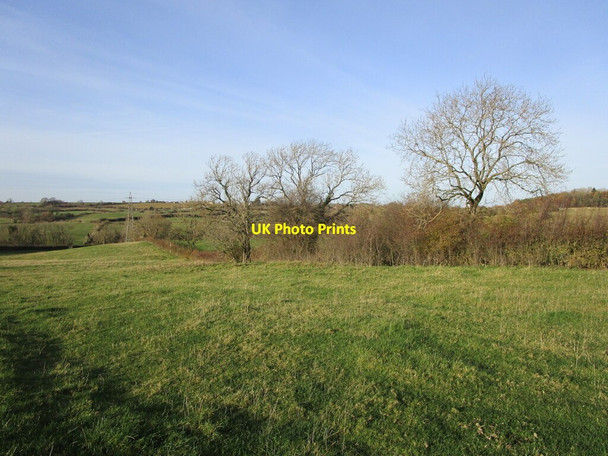 Photo 6"x4" Grass field and hedgerow with trees Holwell\/SK7323 c2021