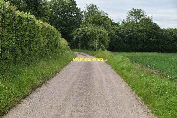 Photo 6"x4" To Kelshall Kelshall c2021