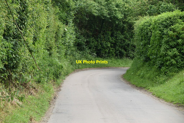 Photo 6"x4" Kelshall Street Hay Green\/TL3436 c2021