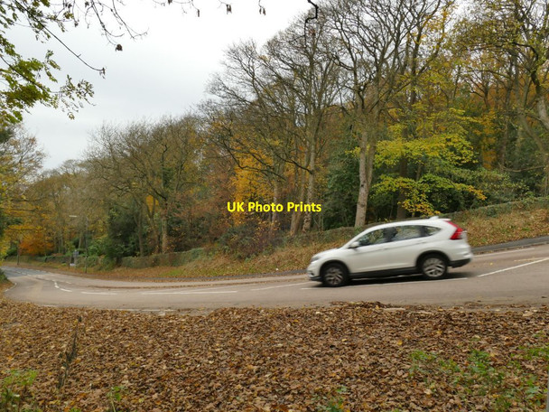 Photo 6"x4" Car descending Parkside Bingley\/SE1139 c2021