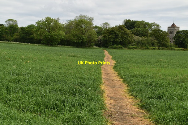 Photo 6"x4" Footpath to Therfield Hay Green\/TL3436 c2021
